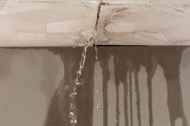 Professional Structural Drying technician working in Richmond, MI